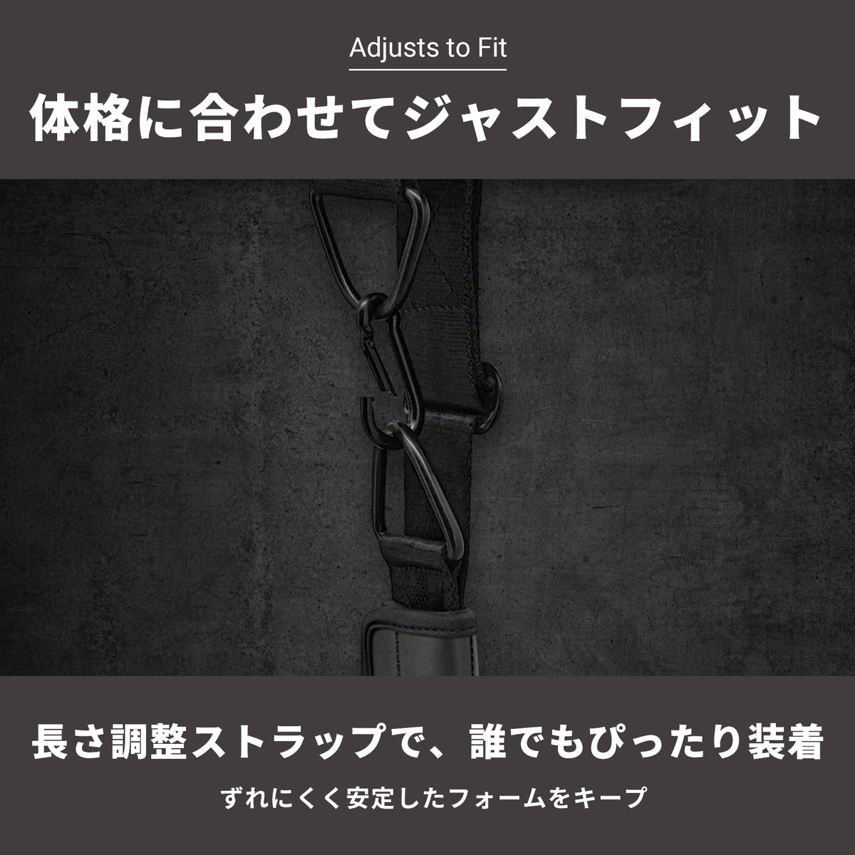新品 入手困難 Power Plate トレーニング ストラップセット 非売品 KARAシリーズ アブストラップ GAC-F6
