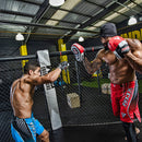 パンチングミット FPR-T1R