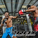 パンチングミット FPR-T1R