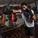 NOIRシリーズ パンチングミット F15