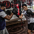 NOIRシリーズ パンチングミット F15